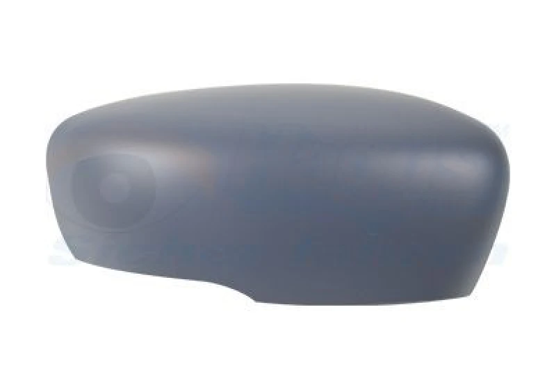 Image of VAN WEZEL Wing mirror cover VAN WEZEL 4420844