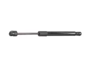 Image of RIDEX Tailgate strut BMW 219G0224 51241960862,51248151579