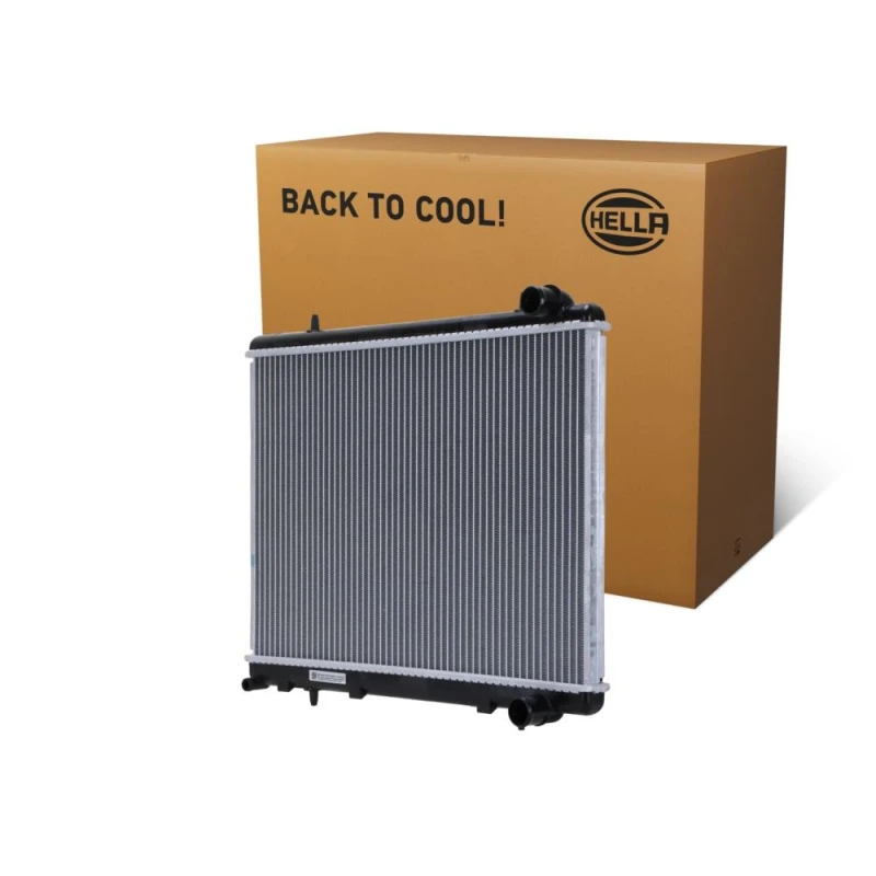 Image of HELLA Engine radiator HELLA 8MK 366 300-201