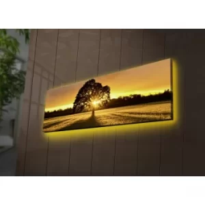 Image of 3090DACT-68 Multicolor Decorative LED Lighted Canvas Painting