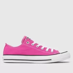 Converse Pink All Star Oxford Desert Trainers