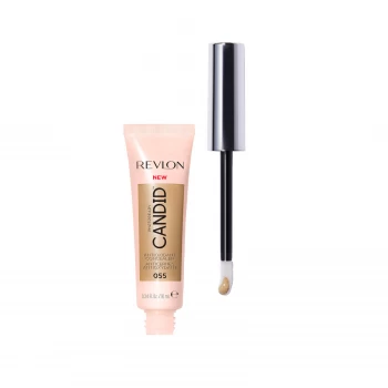 Image of Revlon Photoready Candid Anti-Pollution Concealer (Various Shades) - Chestnut