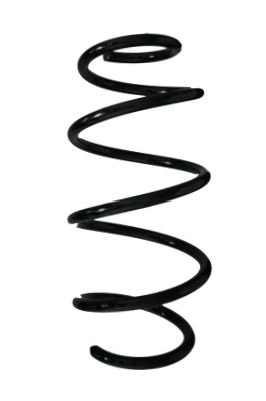 Image of Coil spring SPIDAN 87702