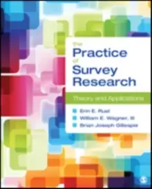 Image of The Practice of Survey Research : Theory and Applications
