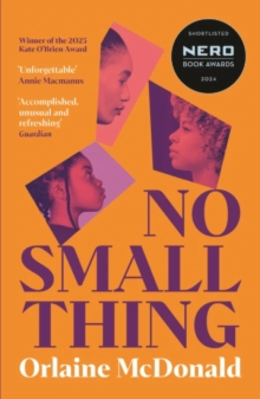 Image of No Small Thing : 'One of the best debut novels Ive read in recent years' Bernardine Evaristo Paperback / softback
