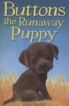 Image of Buttons the Runaway Puppy by Holly Webb Paperback