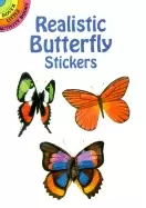 Image of realistic butterfly stickers