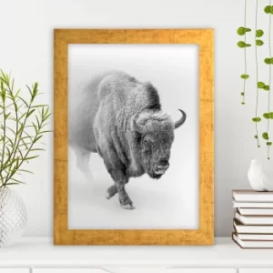 Image of AC1126987724 Multicolor Decorative Framed MDF Painting