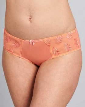 image of Panache Tango II Coral Briefs