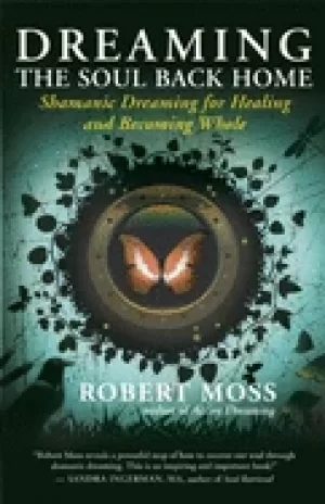 Image of dreaming the soul back home shamanic dreaming for healing and becoming whol