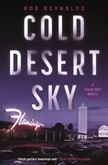 Image of Cold Desert Sky