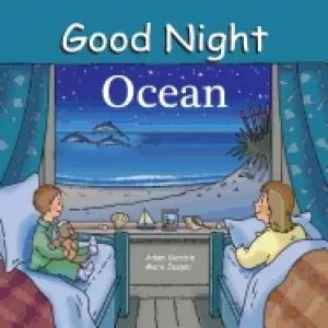 Image of good night ocean