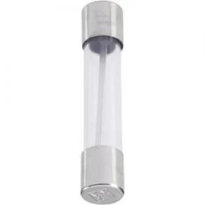 Image of Micro fuse x L 6.3mm x 32mm 10 A 32 V quick response F