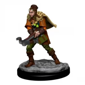 Image of D&D Icons of the Realms Premium Figures (W4) Human Ranger Female