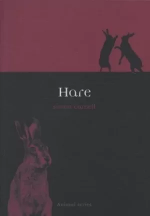 Image of Hare by Simon Carnell