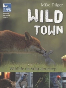 Image of Wild town by Mike Dilger