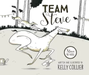 Image of team steve