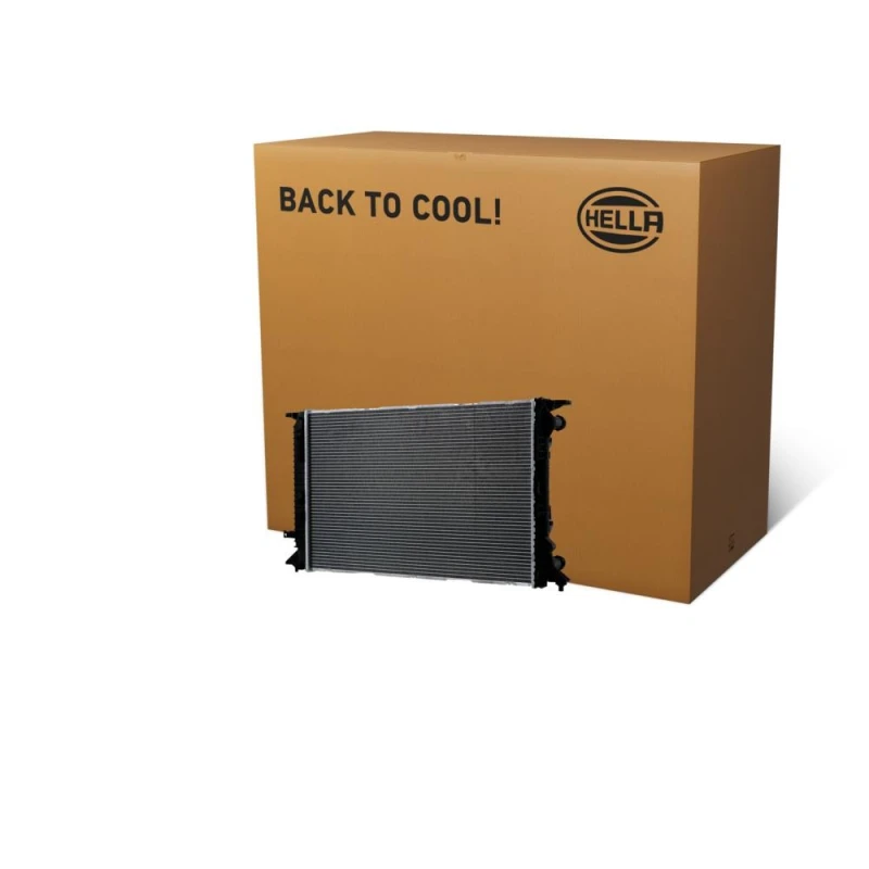 Image of HELLA Engine radiator HELLA 8MK 366 302-811