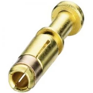 Image of Coninvers 1607658 ST 20KS020 Crimp Contact For Series P20 Gold