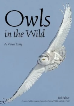Image of Owls in the wild by Rob Palmer