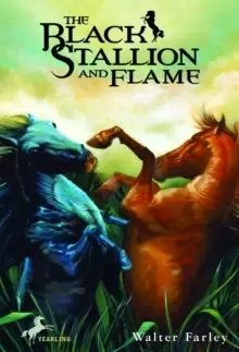 Image of The Black Stallion and Flame