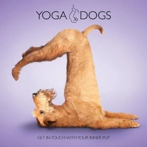 Image of Yoga Dogs by Dan Borris Hardback