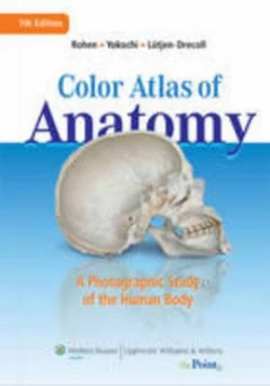 Image of Color Atlas of Anatomy by Johannes W. Rohen Hardback