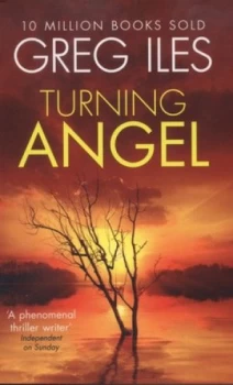 Image of Turning Angel by Greg Iles Paperback