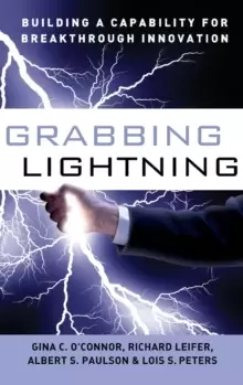 Image of Grabbing Lightning : Building a Capability for Breakthrough Innovation