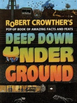 Image of Robert Crowthers Deep down under Ground by Robert Crowther Hardback