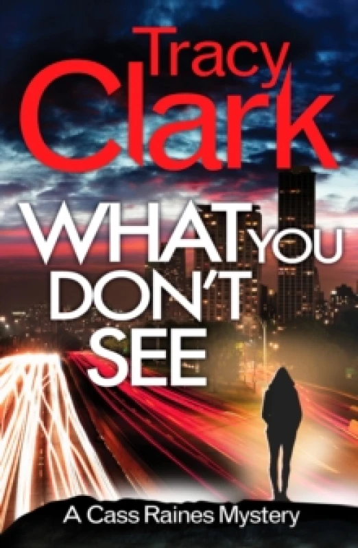 Image of What You Don't See : A gripping private investigator series Paperback / softback