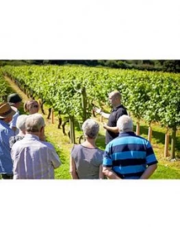 Image of Virgin Experience Days One Night Kent Countryside Break With Vineyard Tour And Wine Tasting At Chapel Down Winery For Two