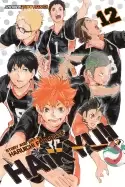 Image of haikyu vol 12