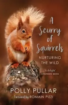 Image of A Scurry of Squirrels : Nurturing The Wild
