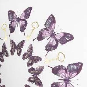Image of Art For The Home Blissful Butterflies 60 x 60cm Printed Canvas