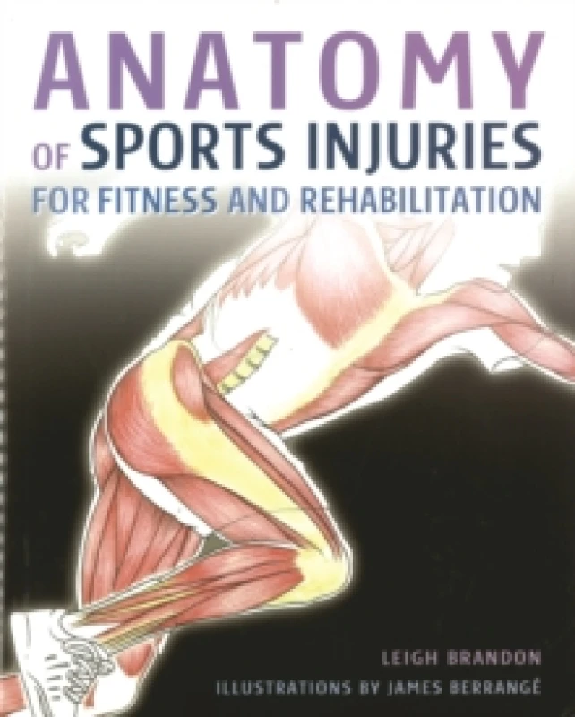 Image of Anatomy of Sports Injuries Paperback / softback
