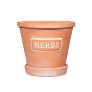 Image of Herbs Terracotta Planters with Saucer
