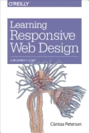 Image of learning responsive web design a beginners guide