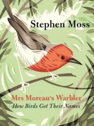 Image of Mrs Moreaus warbler by Stephen Moss