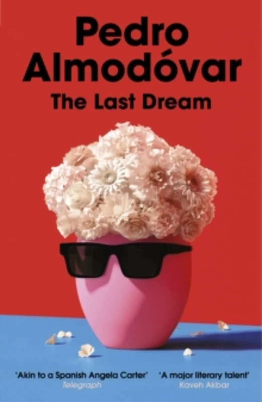 Image of The Last Dream Paperback / softback