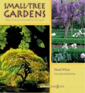 Image of small tree gardens simple projects contemporary designs