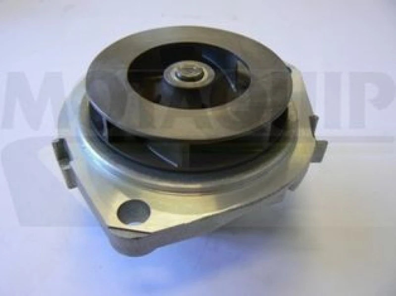 Image of MOTAQUIP Water pump MOTAQUIP VWP904