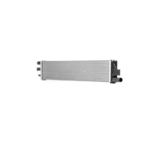 Image of RIDEX Engine radiator OPEL,RENAULT,NISSAN 470R0953 2147000Q0A,214C10001R Radiator, engine cooling,Radiator,Engine cooler