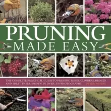 Image of Pruning Made Easy