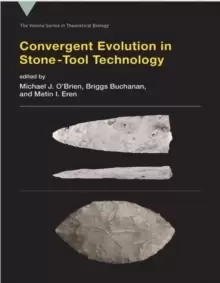Image of Convergent Evolution in Stone-Tool Technology