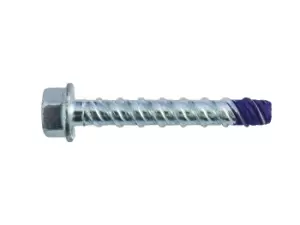 Image of DEWALT DFM1430022 BlueTIP2-BT16x200 Hex HD ScrewBolt-ZnPlt 10pk