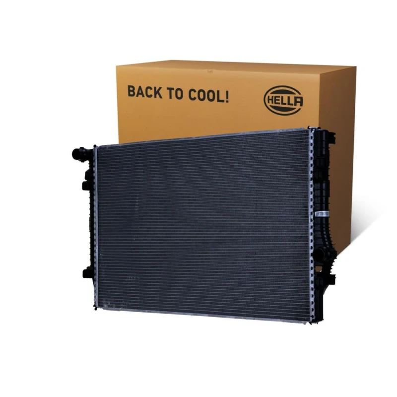 Image of HELLA Engine radiator HELLA 8MK 366 301-541