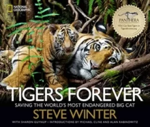 Image of tigers forever saving the worlds most endangered big cat