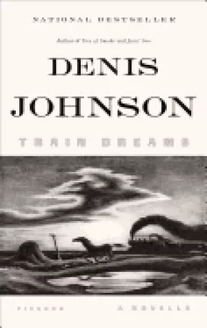 Image of train dreams