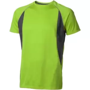 image of Elevate Mens Quebec Short Sleeve T-Shirt (M) (Apple Green/Anthracite)